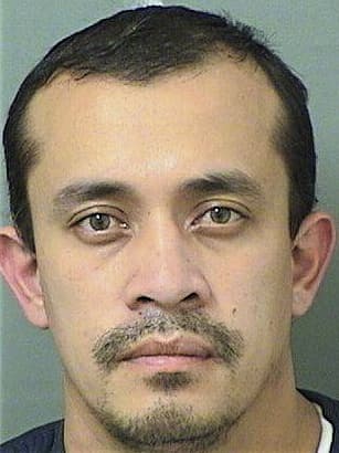 Dario Rubiera, - Palm Beach County, FL 